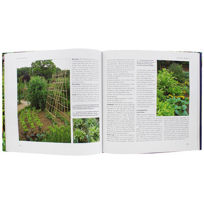 Creative Vegetable Gardening image number 3