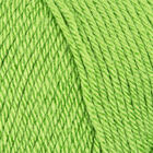 Deramores Studio Baby Soft DK: Kiwi Yarn 100g image number 2