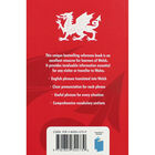 English-Welsh Phrasebook image number 2