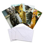 Kittens Card Wallet Set: Pack of 20 image number 2