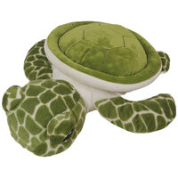 PlayWorks Turtle Toy