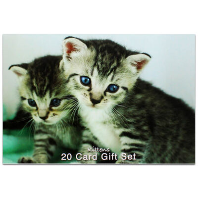 Kittens Card Wallet Set: Pack of 20 image number 1