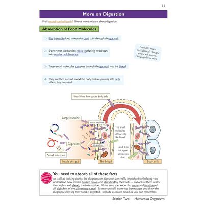 KS3 Science Complete Study & Practice: Higher Level image number 3