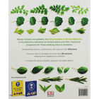 Encyclopedia of Herbal Medicine image number 4
