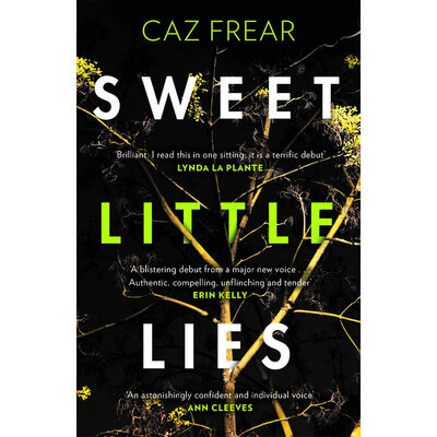 Sweet Little Lies image number 1