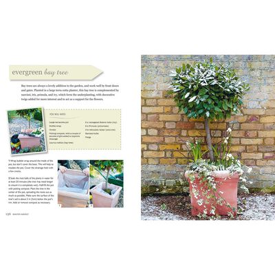 The Winter Garden image number 3