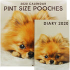 Pint Size Pooches 2020 Calendar and Diary Set image number 1