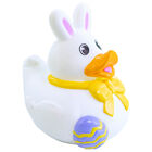 Easter Ducks: Assorted image number 4