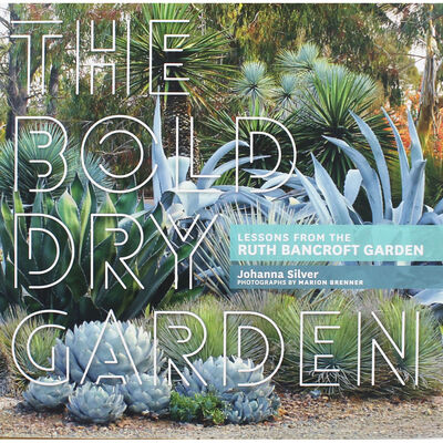 The Bold Dry Garden image number 1