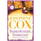 Somewhere Someday image number 1