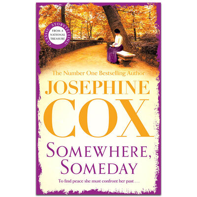 Somewhere Someday image number 1