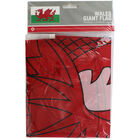 Wales Giant Flag - 3x2ft image number 1