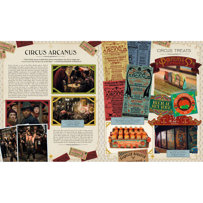 The Archive of Magic: the Film Wizardry of Fantastic Beasts image number 3