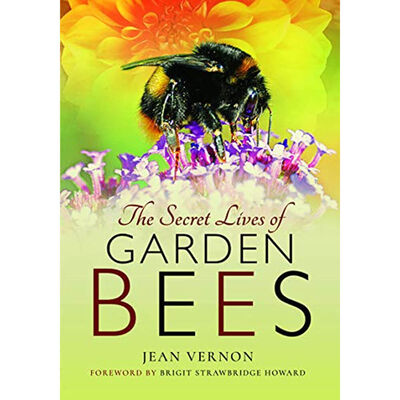 The Secret Lives of Garden Bees image number 1