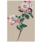 Floragenius Counted Cross Stitch Kit: Pyrus Malus image number 2