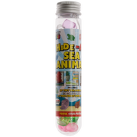 Hide-a-Sea Animal: Pack of 30