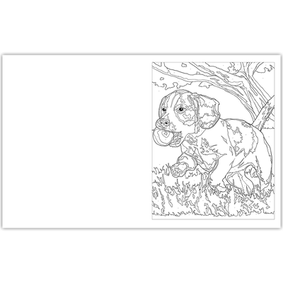 Beautiful Colour by Numbers image number 2