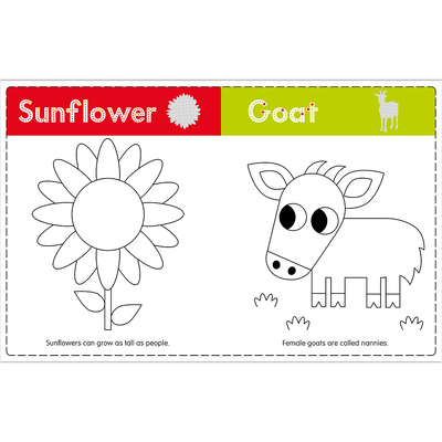 My First Colour and Learn: On the Farm image number 3