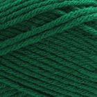 Robin Chunky: Emerald Yarn 100g image number 2