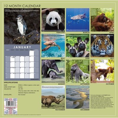 Endangered Species 2021 Calendar and Diary Set image number 2