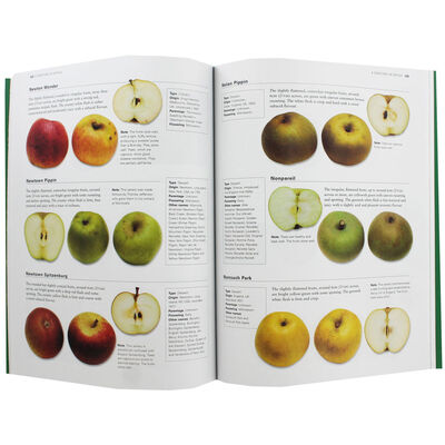 The Complete World Encyclopedia of Apples image number 2