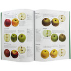 The Complete World Encyclopedia of Apples image number 2