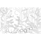 Woodland Walk: A Colouring Book image number 3