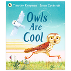 Owls are Cool image number 1