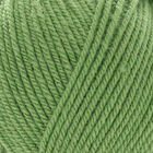 Bonus DK: Grass Yarn 100g image number 2
