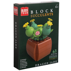 Block Tech Succulents Plants: Assorted image number 4
