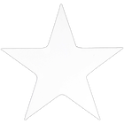 Crawford & Black Star Stretched Canvas image number 3