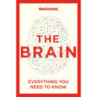 The Brain: Everything You Need to Know image number 1