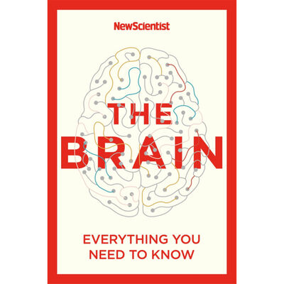 The Brain: Everything You Need to Know image number 1