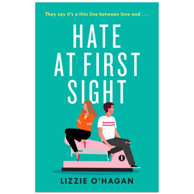 Hate at First Sight image number 1