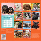Cute Dogs 2021 Calendar and Diary Set image number 2