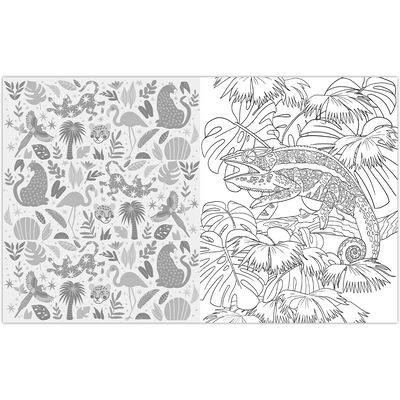 The Wild Animals Colouring Book image number 2