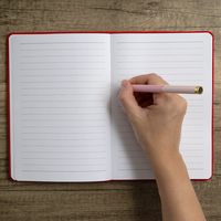 Festive Notebook
