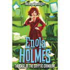 Enola Holmes Mystery Series: 6 Book Box Set image number 6