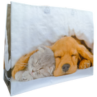 Kitten and Puppy Shopper Bag image number 1