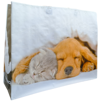 Kitten and Puppy Shopper Bag