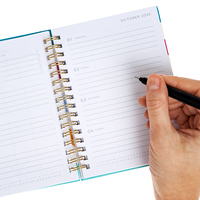 A6 Mid-Year 26-27 Diary: Stripe