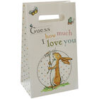 Guess How Much I Love You Party Bags - Pack of 5 image number 2