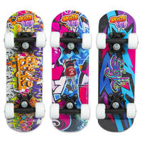 PlayWorks Freestyle Skateboard: Assorted