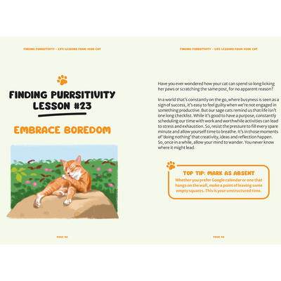 Finding Purrsitivity image number 3