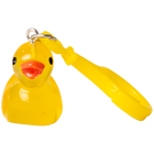 Dinky Charm Keychains: Assorted image number 1