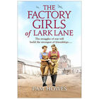 The Factory Girls of Lark Lane image number 1