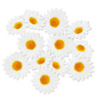 Daisy Flower Head Embellishments - 20 Pack image number 2