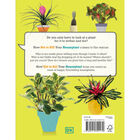 How Not to Kill Your Houseplant image number 3