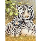Painting By Numbers Junior: White Tiger Pair image number 2