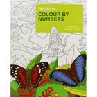 Nature: Colour by Numbers image number 1